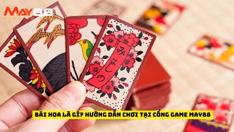 Bài Hoa Là Gì? Hướng Dẫn Chơi Tại Cổng Game May88