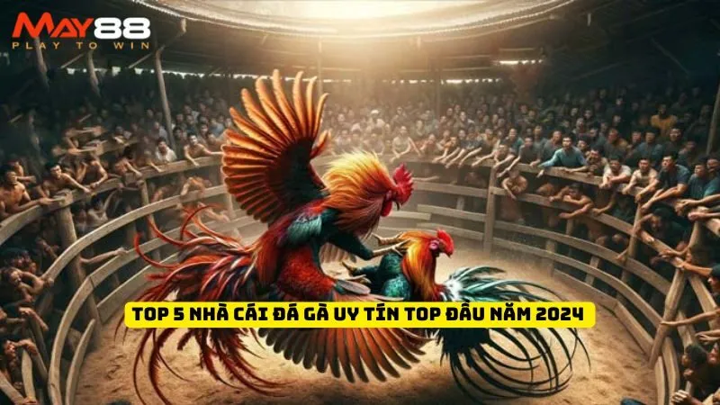 Top 5 Nhà Cái Đá Gà Uy Tín Top Đầu Năm 2024