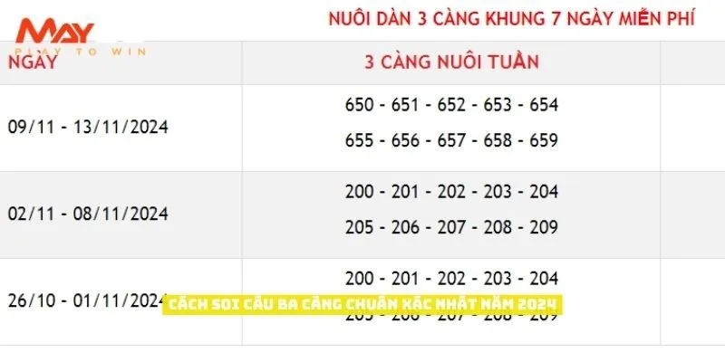 Cách soi cầu ba càng chuẩn xác nhất năm 2024