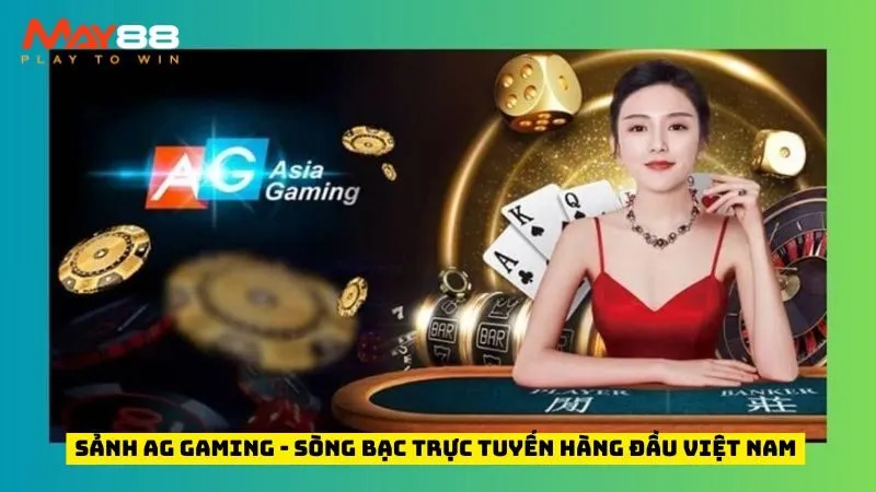 Sảnh AG Gaming - Sòng Bạc Trực Tuyến Hàng Đầu Việt Nam