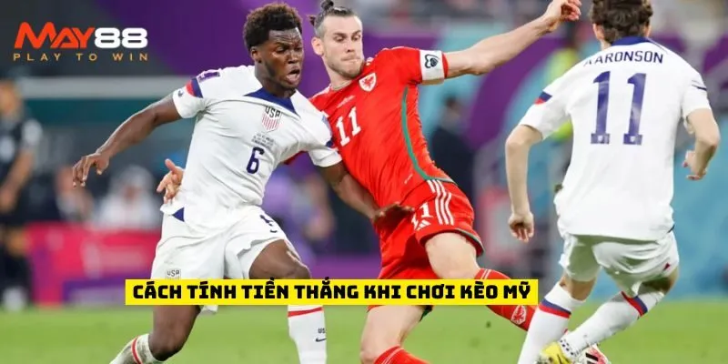 Cách tính tiền thắng khi chơi kèo Mỹ